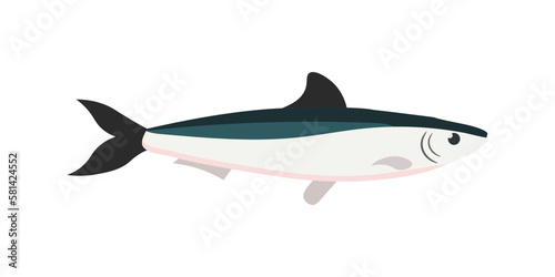 Anchovy, small one fish with head and tail, food ingredient in Mediterranean cuisine