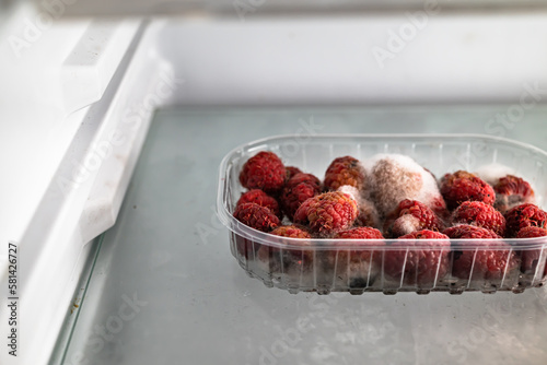 Obraz na plátně Moldy raspberries in a plastic basket inside a refrigerator