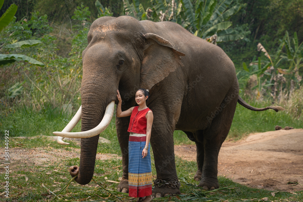 Beautiful tourist Asian women who wear traditional Thai dress in the identity costume culture are smiling happily with the Thai elephant in green nature at Chiang Mai, Thailand.