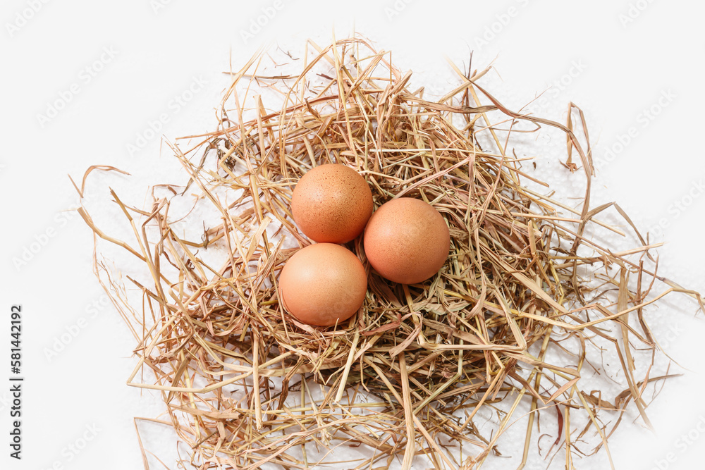 Organic chicken fresh eggs in the nest. On white background. Organic chicken fresh eggs in the nest. On white background.