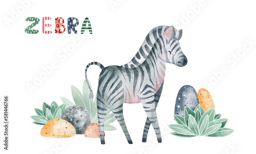 Zebra watercolor illustration. Children s illustration of an African animal. Book drawing.
