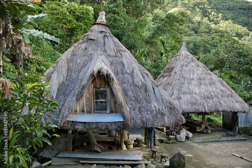 Traditional huts with thatched roofs in Banaue in the Philippines with the rainforest in the background.
