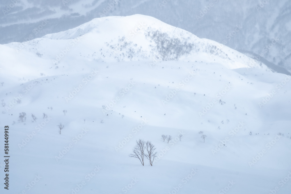 冬の風景