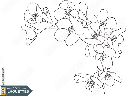 Line art of flowers and plants vector set design on transparent background