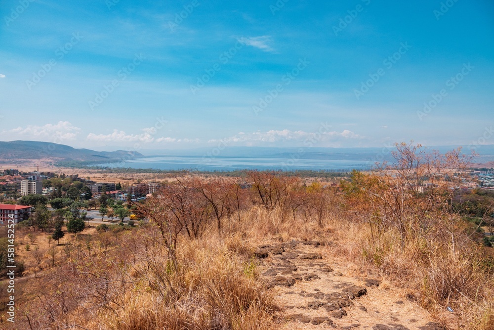 Fototapeta premium Aerial view of Nakuru Town against the background of Lake Nakuru in Kenya
