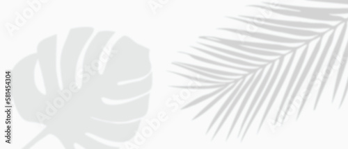 White background with tropical monstera blad and palm  leaves shadows