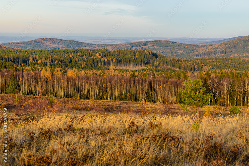 Forest full of colours in CHKO Brdy in Czechia.
