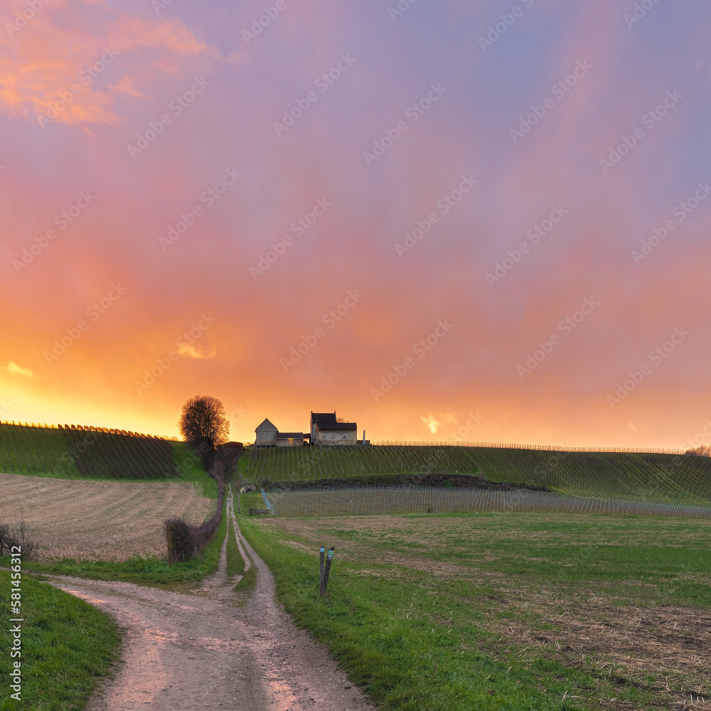Fototapeta premium explosion of colours during sunset over the Jeker valley in Maastricht with a beautiful cloudscape and view of the rolling hill landscape with vineyards of Apostelhoeve, the oldest winery in Holland