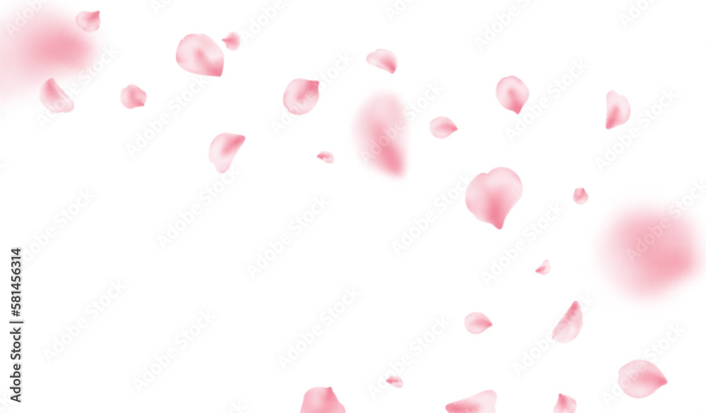 Sakura petal spring blossom on white banner. Pink rose composition. Flower flying background. Beauty Spa product frame. Valentine romantic card. Light delicate pastel design. Vector illustration
