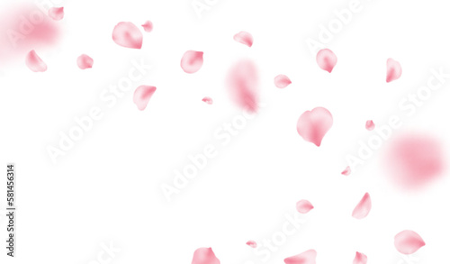 Sakura petal spring blossom on white banner. Pink rose composition. Flower flying background. Beauty Spa product frame. Valentine romantic card. Light delicate pastel design. Vector illustration