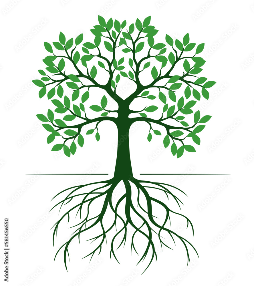 Green tree isolated with Roots on white. Vector Illustration. Green tree isolated with Roots on white. Vector Illustration.