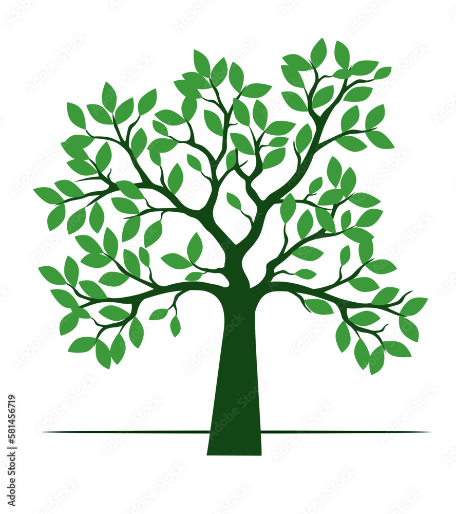 Obraz premium Green tree isolated on white. Vector Illustration.