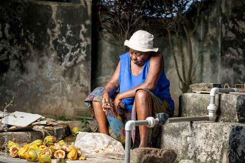image of african aged woman with harvested farm produced- cocoa harvesting
