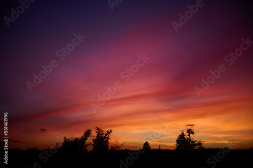 Calm multicolored sky above the contour of trees