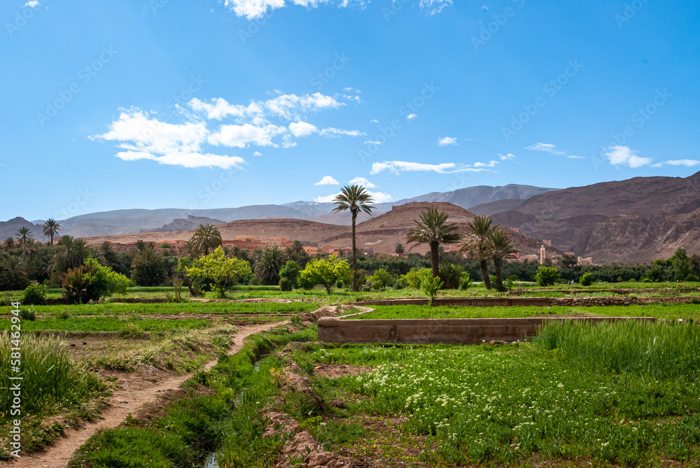Fieldsin the mountains, Morocco