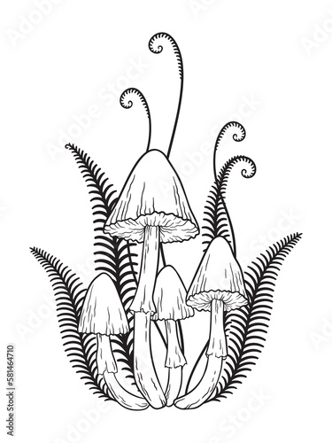 Hand drawn poisonous mushrooms and fern in graphic style isolated vector illustration