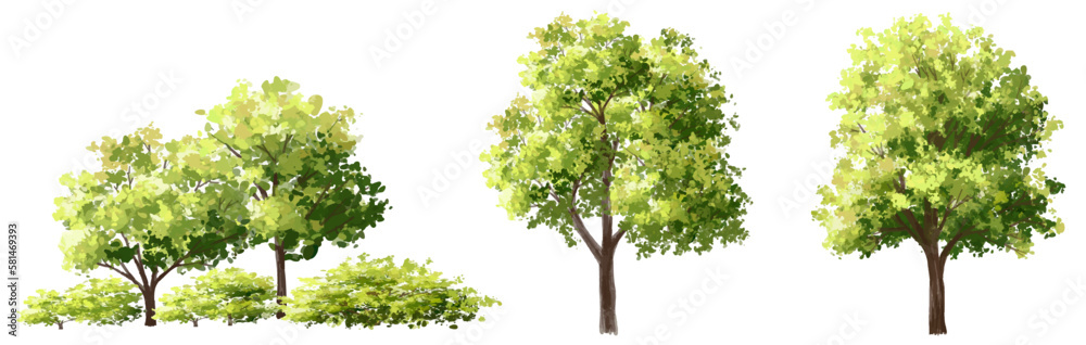 Vector watercolor of green tree side view isolated on white background ...