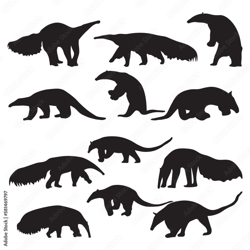 Obraz premium Set anteater silhouette vector illustration.