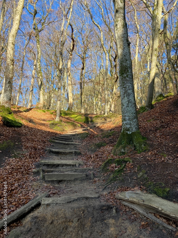 Promenade dans la petite suisse Luxembourgeois à Berdorf - mullerthal