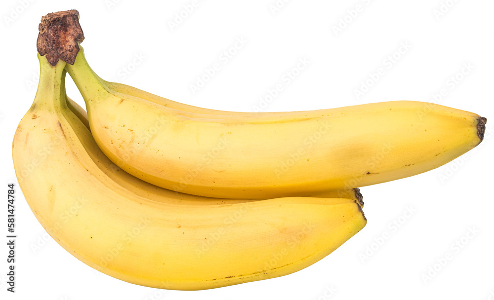 Close-up of a bunch of yellow bananas isolated on transparent background