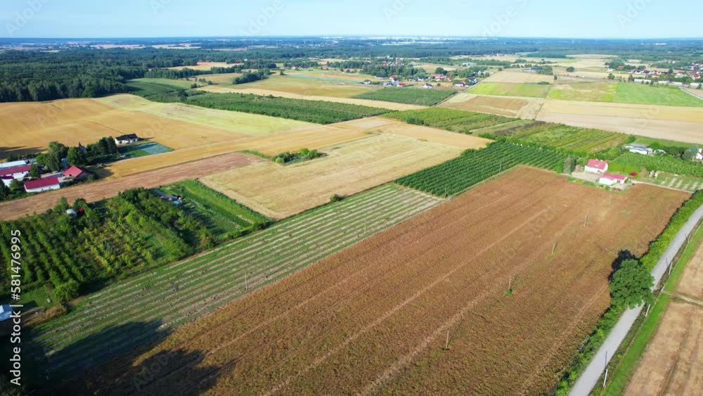 Aerial View Farmer Fields Rich in Crops. Beautiful Summer Landscape. Agribusiness Food Industry. Aerial View Countryside Landscape Europe. Countryside Landscape Poland Farm, Rural Scenery Farmland. Aerial View Farmer Fields Rich in Crops. Beautiful Summer Landscape. Agribusiness Food Industry. Aerial View Countryside Landscape Europe. Countryside Landscape Poland Farm, Rural Scenery Farmland.