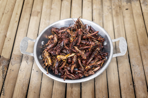 Fototapeta Naklejka Na Ścianę i Meble -  Deep fried grasshoppers is crispy snack street food high protein meal of Thailand serving in a small stainless steel pan on a bamboo counter.