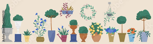 Indoor garden plants and fresh flowers in pot and watering can isolated. House growing potted houseplants set for greenhouse design. Landscape design elements, decor on terrace or threshold