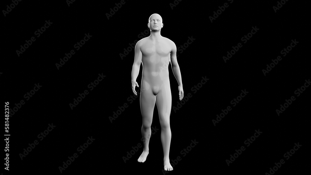 Beautiful young man posing, isolated on black background. 3d illustration (rendering). Plastic shiny mannequin, android, robot. Beautiful young man posing, isolated on black background. 3d illustration (rendering). Plastic shiny mannequin, android, robot.
