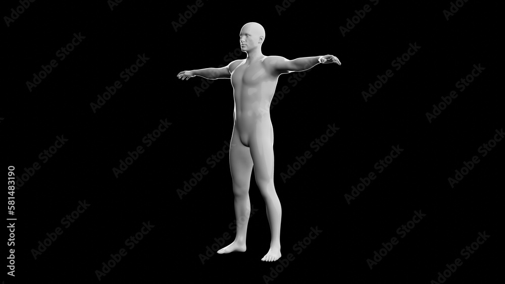 Beautiful young man posing, isolated on black background. 3d illustration (rendering). Plastic shiny mannequin, android, robot. Beautiful young man posing, isolated on black background. 3d illustration (rendering). Plastic shiny mannequin, android, robot.