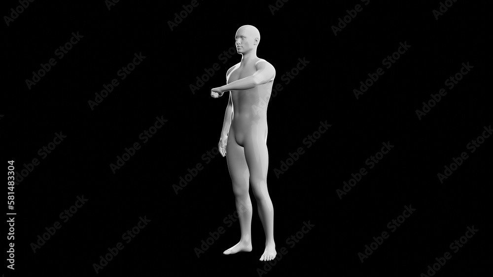 Beautiful young man posing, isolated on black background. 3d illustration (rendering). Plastic shiny mannequin, android, robot. Beautiful young man posing, isolated on black background. 3d illustration (rendering). Plastic shiny mannequin, android, robot.