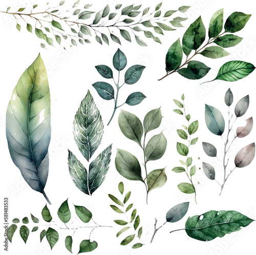 Vector Watercolor set of branches with green leaves  for wedding invitations  greetings  wallpapers  fashion  prints. Eucalyptus  olive green leaves.