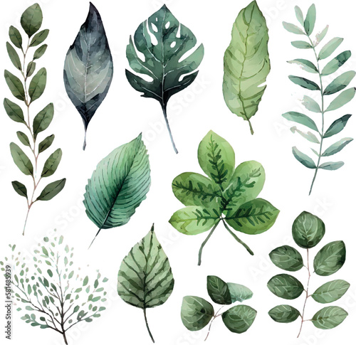 Vector Watercolor set of branches with green leaves, for wedding invitations, greetings, wallpapers, fashion, prints. Eucalyptus, olive green leaves.