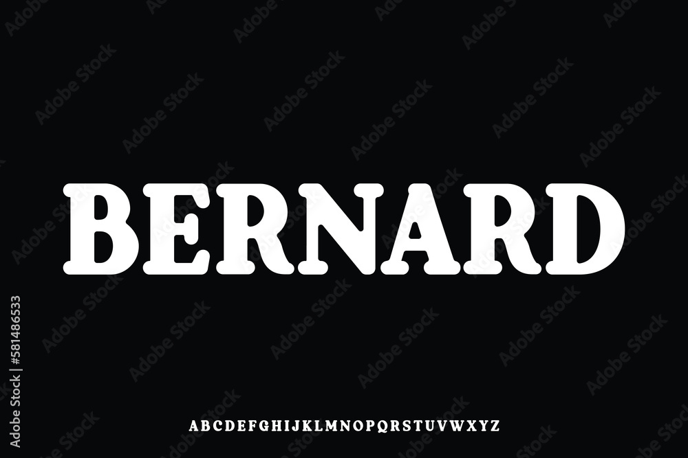 Obraz premium Rounded retro serif display font vector