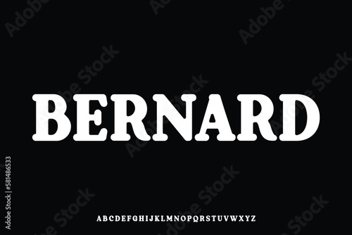 Rounded retro serif display font vector