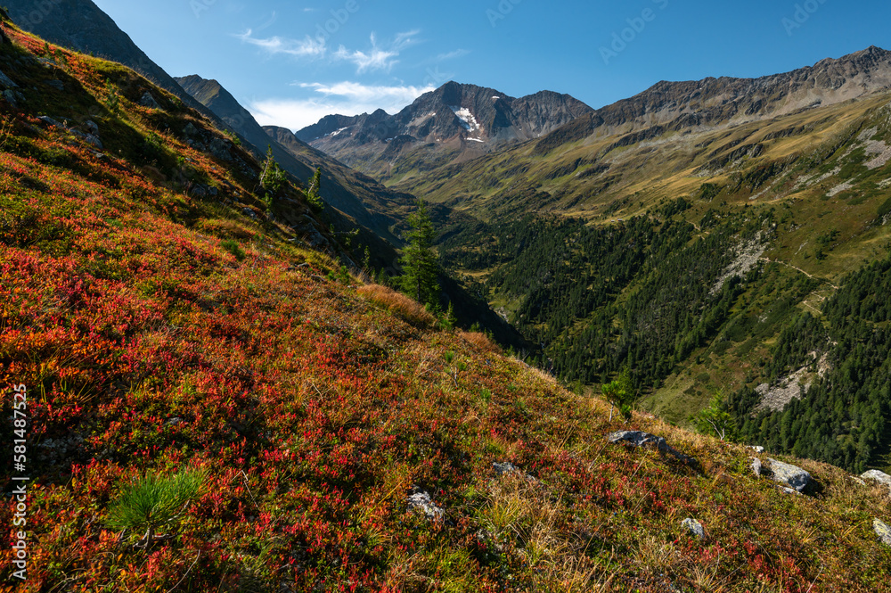 adventure, alpen, alpine, animal, austria, autumn, beautiful, beauty, blue, cattle, colorful, environment, europe, fall, foliage, forest, green, hiking, hiking trail, hill, hohe, hohe tauern, landscap