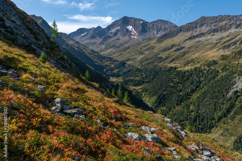 adventure, alpen, alpine, animal, austria, autumn, beautiful, beauty, blue, cattle, colorful, environment, europe, fall, foliage, forest, green, hiking, hiking trail, hill, hohe, hohe tauern, landscap