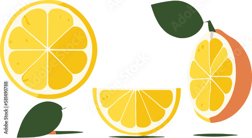 lemons vector for illustrations, 2d minimalist