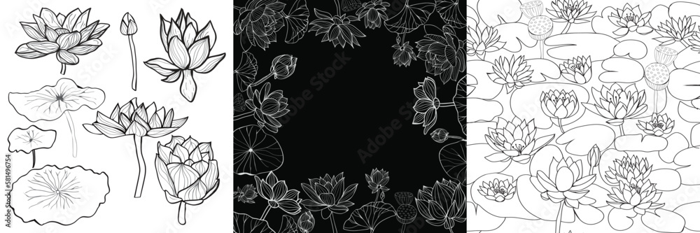 Collection of lotus flowers Collection of lotus flowers