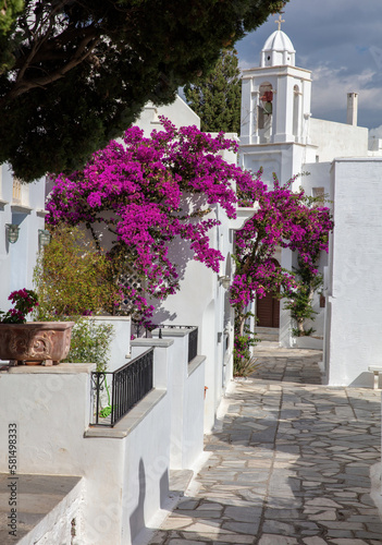 Tinos island Greece. Cycladic architecture at Pyrgos village. Paved alley, pink bougainvillea