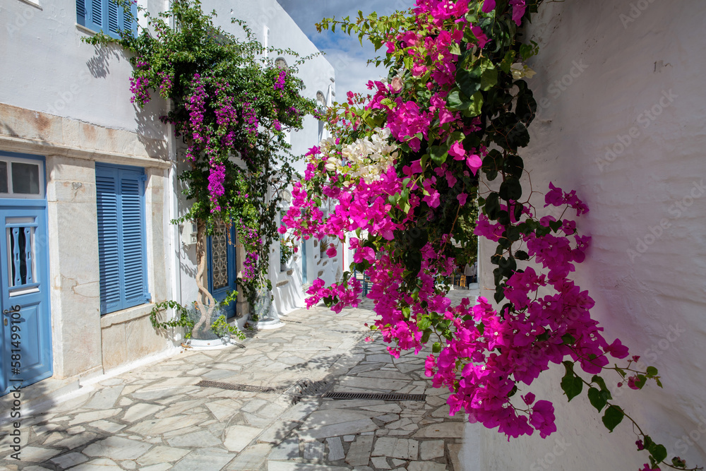 Tinos island Greece. Cycladic architecture at Pyrgos village. Paved alley, pink bougainvillea