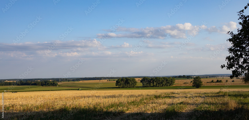 Obraz premium Fields and meadows in the Czech Republic