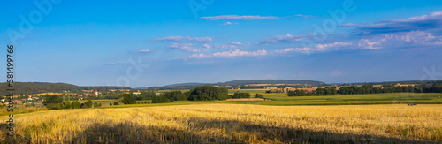 Fields and meadows in the Czech Republic