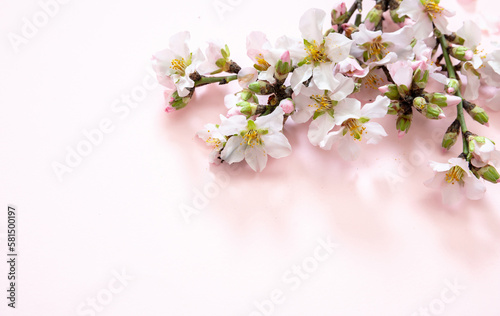 Bloom almond tree nature  orchard flower. Spring pink blossom background. Easter season