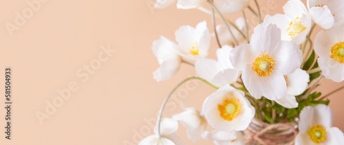 Close up white anemones flowers on colored background. Banner with copy space © Alina