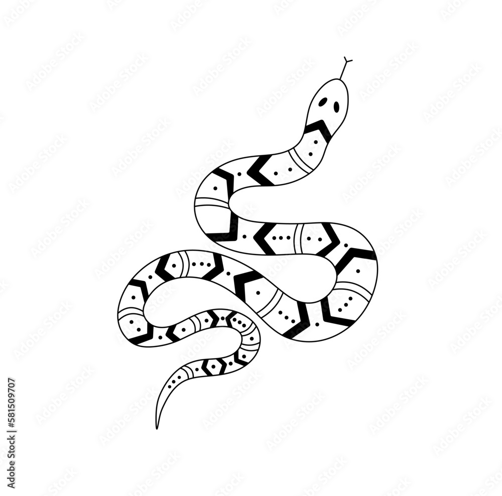 Fototapeta premium Vector isolated one single crawling ornate snake top view colorless black and white contour line easy drawing