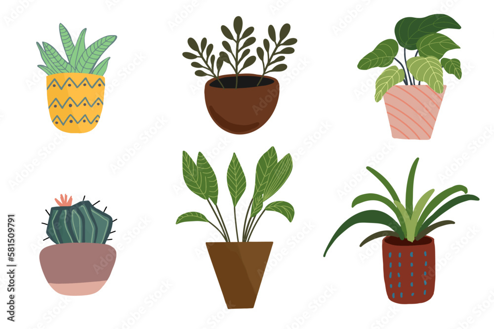 Vector hand drawn set of house plants in pots. Doodle style, isolated on white background.