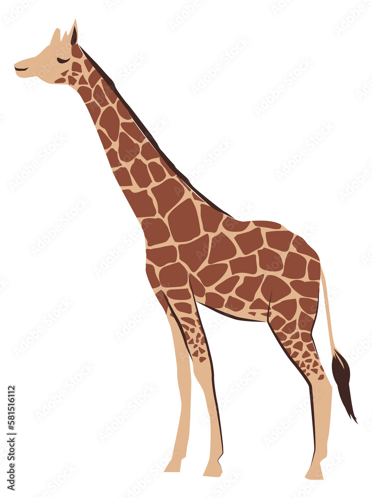 Obraz premium Giraffe icon. Savanha animal. Wild african fauna