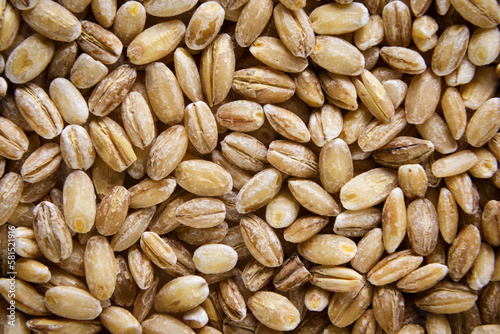 Pearl barley close up, background. Top view
