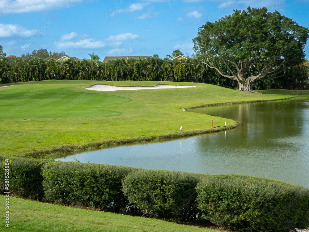 Nice hole on an American golf club in south Florida Nice hole on an American golf club in south Florida