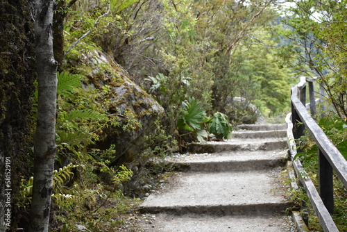 escaleras en bosque chileno sendero photo